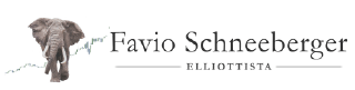 Logo Favio Sch